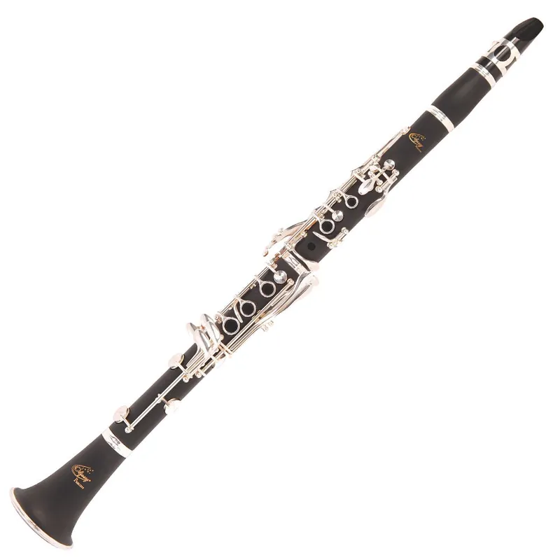 Populär Odyssey Wind Instruments OCL400 Premiere Bb Clarinet with Ca
